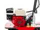 Benassi L390 4RM - Tagliazolle a benzina trazionato 4x4 - Honda GX200 - 6.5HP