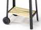 Ompagrill 50-25 Green/W - Barbecue a carbone