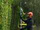 Bosch Professional GHE 18V-50T - Tagliasiepi a batteria su asta - 18V 4Ah