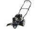 BullMach FAUNO 196-560 - Decespugliatore a ruote a benzina 4 tempi trazionato