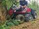 Meccanica Benassi FOX 110 4WD  - Trattorino trinciaerba sfalciatutto - Motore bicilindrico Briggs &amp; Stratton 810cc  - Trasmissione Idrostatica