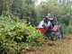 Meccanica Benassi FOX 110 4WD  - Trattorino trinciaerba sfalciatutto - Motore bicilindrico Briggs &amp; Stratton 810cc  - Trasmissione Idrostatica