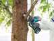 Makita DUC101ZJ LXT - Potatore manuale a batteria - 18V - SENZA BATTERIA E CARICABATTERIA