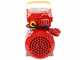 Rover BE-M 10 - Pompa elettrica da travaso in bronzo - Monofase - 230V