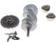 OUTLET - PICCOLI DIFETTI ESTETICI - Fimar TC22TE - Tritacarne elettrico - Corpo e gruppo di macinazione in alluminio - 230V