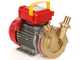 Rover BE-M 30 - Pompa elettrica da travaso in bronzo - Monofase - 230V