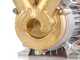 Rover 35 CE - Pompa elettrica da travaso in bronzo - Monofase - 230V