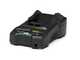 Greenworks G24ST25 - Tagliabordi a batteria - 24V 8Ah