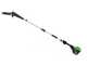 Greenworks GD60PS25 - Potatore su asta di prolunga a batteria 60V - Batteria 4Ah