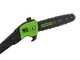 Greenworks GD60PS25 - Potatore su asta di prolunga a batteria 60V - Batteria 4Ah