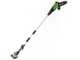 Greenworks G48PS - Potatore su asta di prolunga a batteria 48V -  Batteria 4Ah