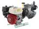 Kit motopompa a scoppio da irrorazione con carrello - Comet MTP P40/20 SC 4T - Per prodotti chimici e acidi