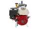 Kit motopompa a scoppio da irrorazione con carrello - Comet MTP P40/20 SC 4T - Per prodotti chimici e acidi