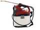 Einhell GE-WS 18/75 Li - Pompa irroratrice a tracolla a batteria 7.5L - 18V 4Ah