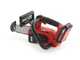Einhell Fortexxa 18/20 TH - Motosega da potatura a batteria 18V 5.2Ah