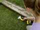 Karcher GSH 18-20 - Forbice tagliaerba a batteria - Tagliasiepi  - 18V 5Ah