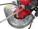 Honda UM 536 EE2 - Trinciaerba a scoppio - GXV 160 - 163 cc
