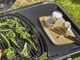 Weber Traveler 1501745 - Barbecue a gas portatile - Carrello di supporto nero