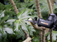 Worx WG893E - Seghetto a gattuccio a batteria - 20V 2Ah