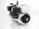 Motopompa irrorazione con pompa Comet APS 41 motore a scoppio Honda GP 160