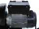 OUTLET - DIFETTI ESTETICI - Palumbo Pavi SM 5 INOX - Passapomodoro con motore elettrico 600W 220V