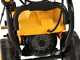 DeWalt DXPW 005E - Idropulitrice professionale trifase - 200 bar - 810 l/h