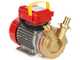 OUTLET - PICCOLI DIFETTI ESTETICI - Rover BE-T 30 - Pompa elettrica da travaso in bronzo - Trifase - 400V