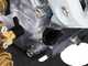 LWD 11/200 - Idropulitrice a scoppio professionale - 205 Bar 678 Lt/h -  pompa Comet LWD - motore Honda GX 200