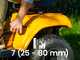 Stiga Tornado 398e - Kit Trattorino tagliaerba con 2 moduli batteria ePower Pro da 56V/40Ah - Scarico laterale e mulching