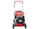 Efco LR 44 PK Comfort - Tagliaerba a scoppio - Motore Emak K450 OHV - 123 cc