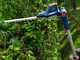 Bosch Professional GHE 18V-50T - Tagliasiepi a batteria su asta - 18V 5.5Ah
