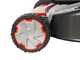 Efco LR 53 TKE Comfort Plus - Rasaerba a scoppio semovente - Motore Emak K 655i OHV da 166 cc - Avviamento elettrico
