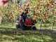 Efco Tuareg 85 2WD - Trattorino trinciaerba sfalciatutto - Emak K 2000 V-TWIN