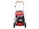 Efco LR 48 PK Comfort - Tagliaerba a scoppio - Motore Emak K 450 OHV - 123 cc