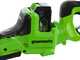 Greenworks HT48DL210-01 - Tagliasiepi a batteria 48V/2Ah - Lama da 66 cm