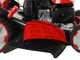 Efco LR 48 TKE AllRoad PLUS 4 - Rasaerba a scoppio semovente - Motore Emak K 655i OHV da 166 cc - Avviamento elettrico