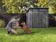 Keter Cortina 7x7 - Casetta da giardino - Con porta doppia anta - 214x218x226 cm