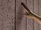 Keter Stronghold 10X8 - Casetta da giardino - Con porta a doppia anta - 305x243x251 cm