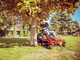Snapper ZTX175RD - Trattorino rasaerba professionale a raggio zero - Scarico posteriore e mulching 50% - Motore B&amp;S 7220 EXi bicilindrico