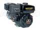 GeoTech Pro LV650 SPL Deluxe - Aspirafoglie-Biotrituratore a scoppio trazionato - Loncin 6.5 HP