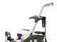 Annovi &amp; Reverberi Blue Clean 1003 - Idropulitrice portatile professionale a freddo - 150 bar - 630 l/h