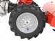 Diesse Minitriss - Motocoltivatore benzina - RATO R210 - 6.7HP