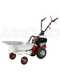Eurosystems P55 EVO - Trinciaerba a scoppio - B&amp;S 675 iSi