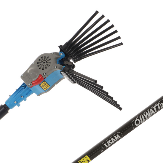 Lisam Oliwatt 2 - Abbacchiatore Elettrico a batteria - Con denti in Nylon - 280 cm - Asta Fissa