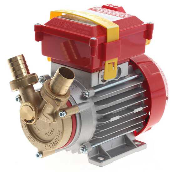 Rover 25 By-Pass - Elettropompa da travaso in bronzo - Monofase - 230V