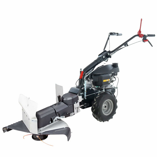 Eurosystems P55 - Decespugliatore a ruote a benzina - Honda GCVX 170