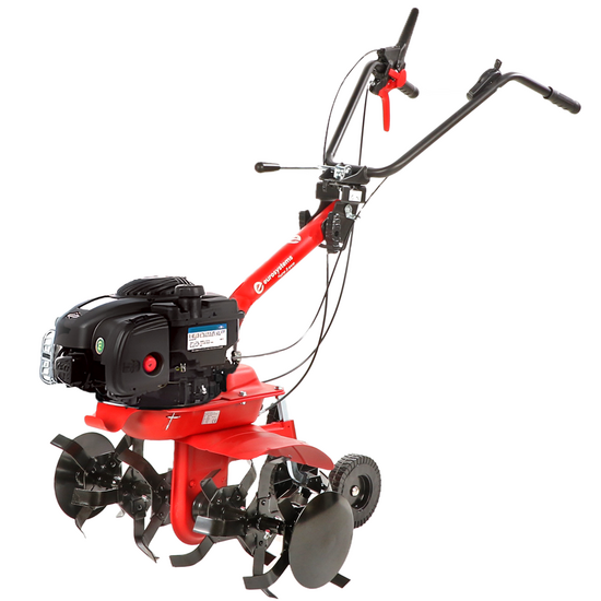 Eurosystems E3-EVO RM - Motozappa a benzina - Fresa da 70 cm - Motore B&amp;S 450 E
