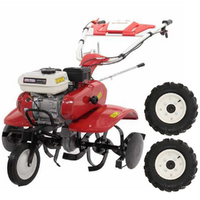 GeoTech Pro PGT 700 - Motozappa a benzina 7 HP - Cambio marce 2+1 retromarcia