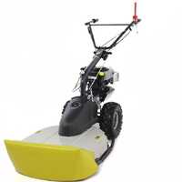 Eurosystems TM 70 RB EVO - Trinciaerba a scoppio - Lama - B&S 850E I/C