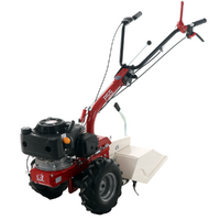 Eurosystems P55 - Motocoltivatore benzina - Loncin LC1P70F-3 - 6.5HP